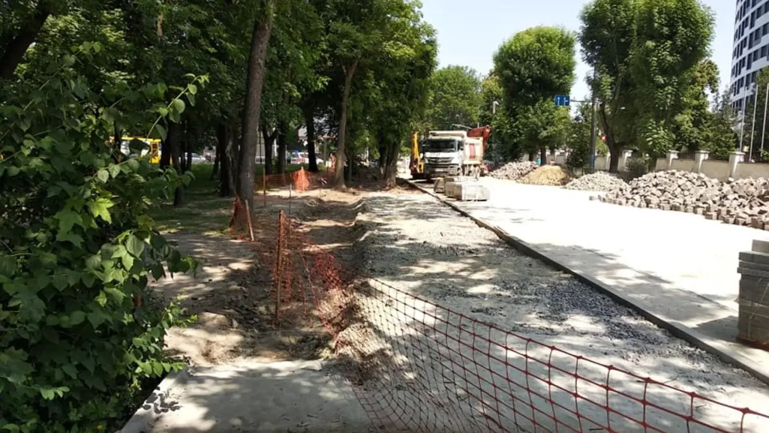 У Франківському районі Львова зріжуть понад два десятки дерев через ремонт інфраструктури У Франківському районі Львова зріжуть понад два десятки дерев через ремонт інфраструктури